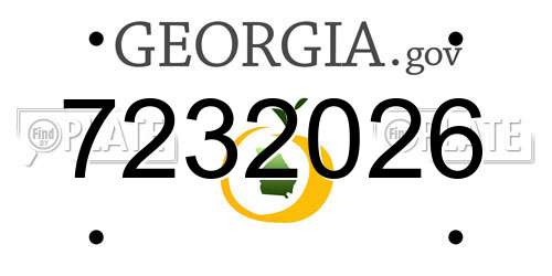 7232026 Georgia License Plate