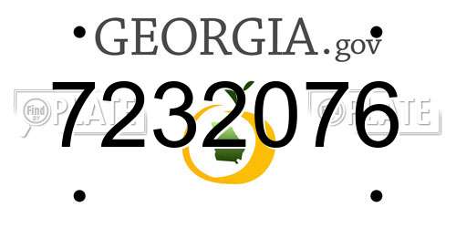 7232076 Georgia License Plate