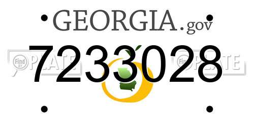 7233028 Georgia License Plate