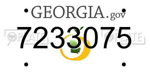 7233075 Georgia License Plate