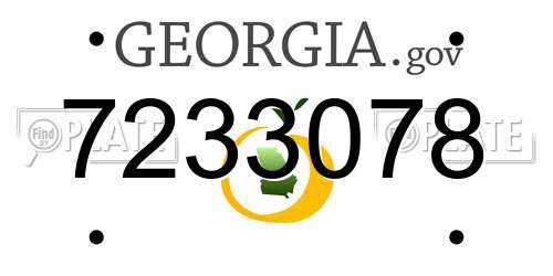 7233078 Georgia License Plate