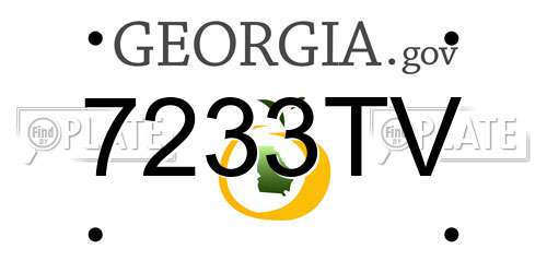 7233TV Georgia License Plate