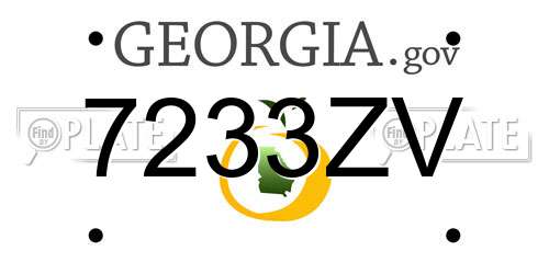 7233ZV Georgia License Plate
