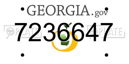 7236647 Georgia License Plate