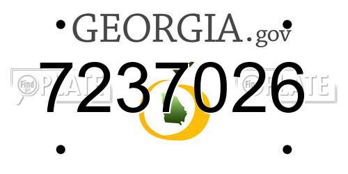 7237026 Georgia License Plate