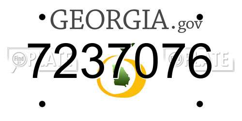 7237076 Georgia License Plate