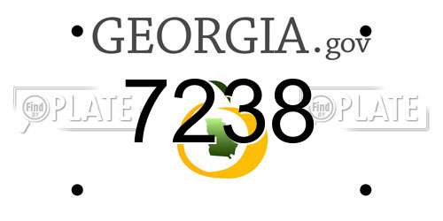 7238 Georgia License Plate