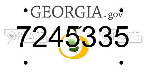7245335 Georgia License Plate