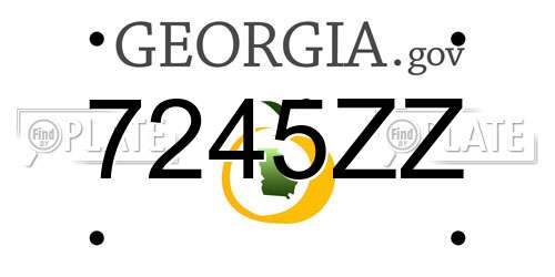 7245ZZ Georgia License Plate