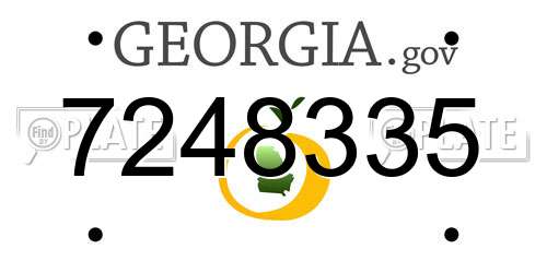 7248335 Georgia License Plate