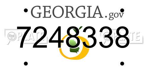 7248338 Georgia License Plate