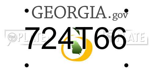 724T66 Georgia License Plate
