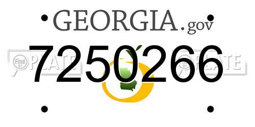 7250266 Georgia License Plate