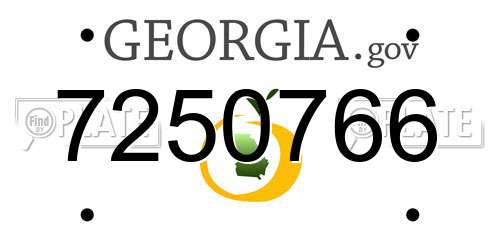 7250766 Georgia License Plate