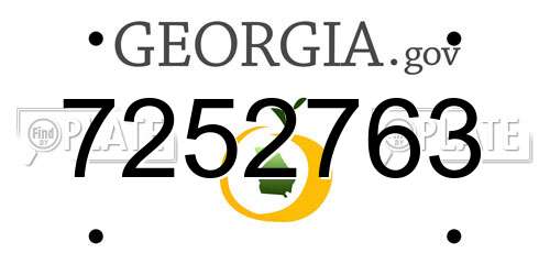 7252763 Georgia License Plate