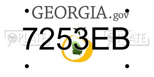 7253EB Georgia License Plate