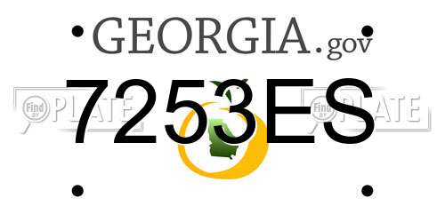7253ES Georgia License Plate