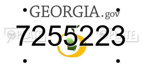 7255223 Georgia License Plate