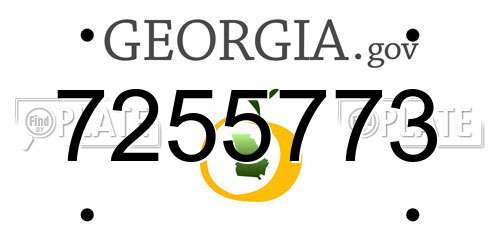 7255773 Georgia License Plate