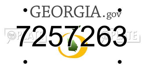 7257263 Georgia License Plate