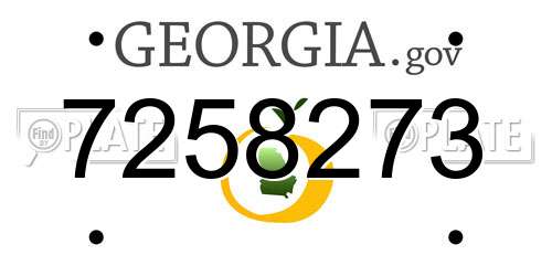 7258273 Georgia License Plate