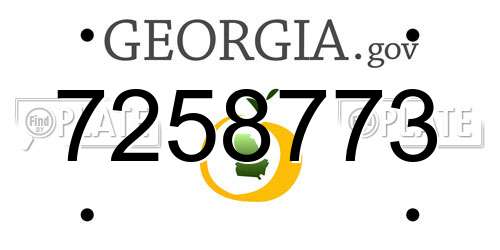 7258773 Georgia License Plate