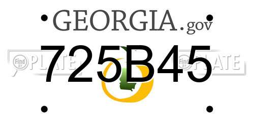 725B45 Georgia License Plate