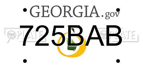 725BAB Georgia License Plate