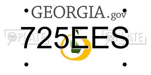 725EES Georgia License Plate