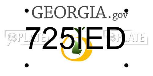 725IED Georgia License Plate