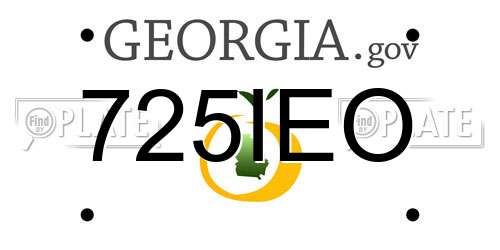 725IEO Georgia License Plate
