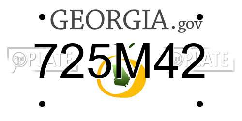 725M42 Georgia License Plate