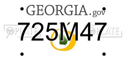 725M47 Georgia License Plate