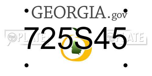 725S45 Georgia License Plate