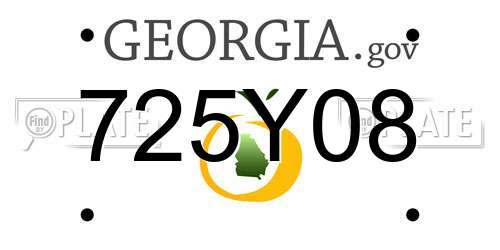725Y08 Georgia License Plate