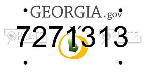 7271313 Georgia License Plate