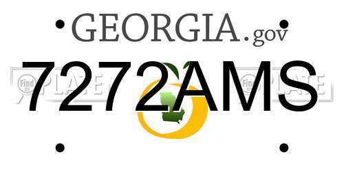 7272AMS Georgia License Plate