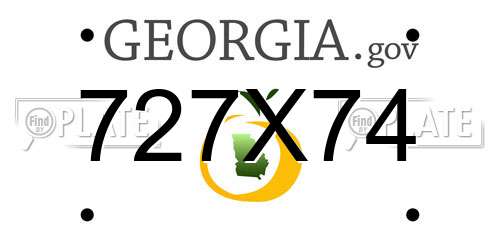 727X74 Georgia License Plate