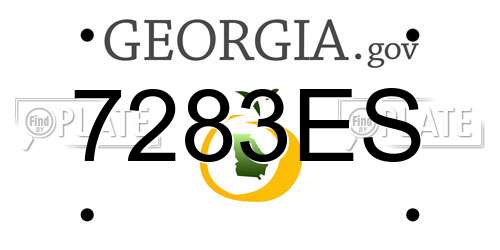 7283ES Georgia License Plate