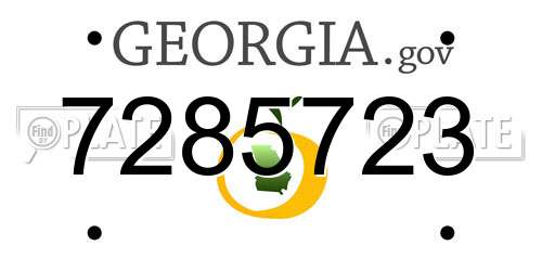 7285723 Georgia License Plate