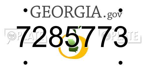 7285773 Georgia License Plate
