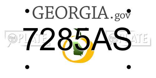 7285AS Georgia License Plate