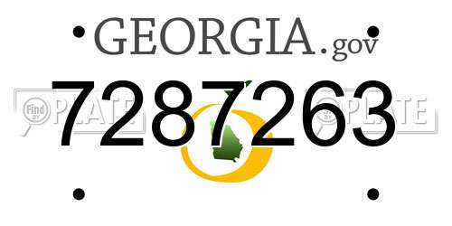 7287263 Georgia License Plate