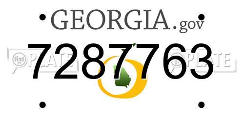 7287763 Georgia License Plate