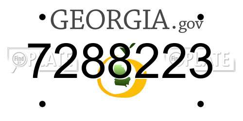 7288223 Georgia License Plate