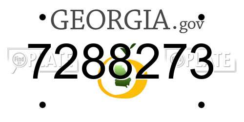 7288273 Georgia License Plate