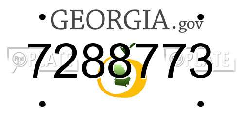 7288773 Georgia License Plate