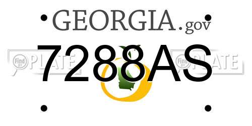 7288AS Georgia License Plate