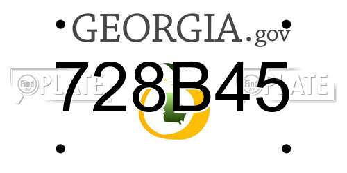 728B45 Georgia License Plate