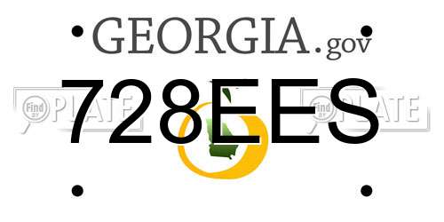 728EES Georgia License Plate